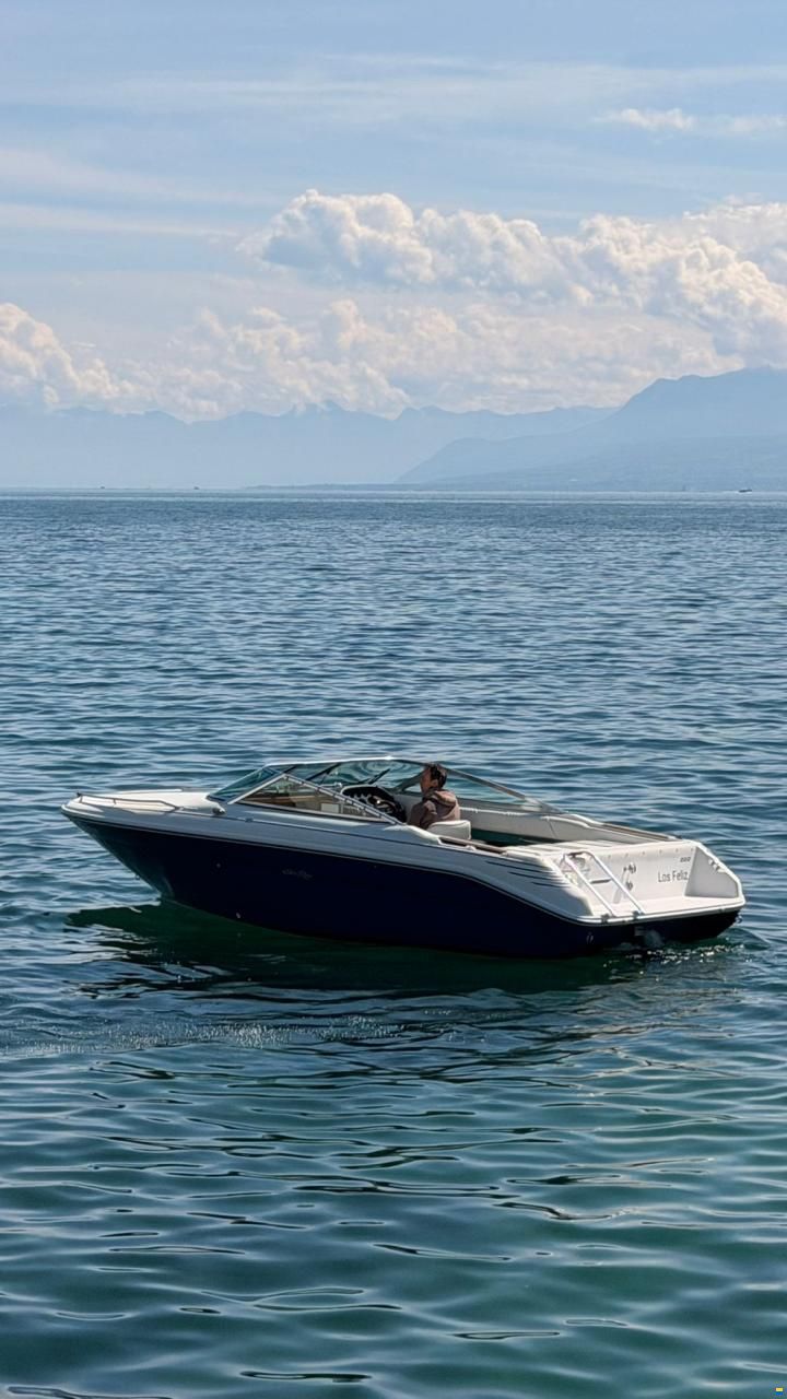 Sea Ray 220 OV