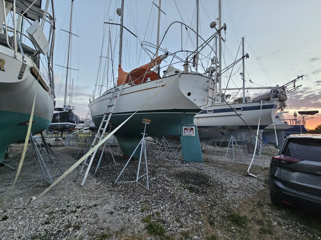 Belliure 41
