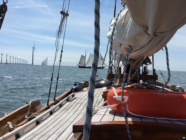 Vollenhovense Bol 975