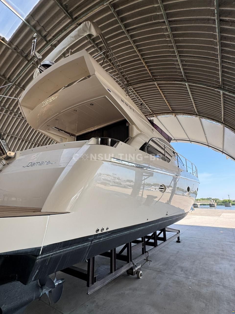 Rodman Muse 44