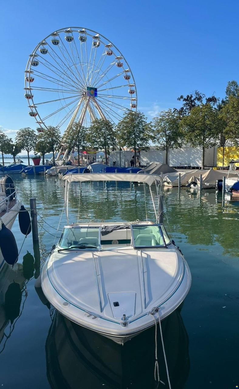 Sea Ray 200 SR