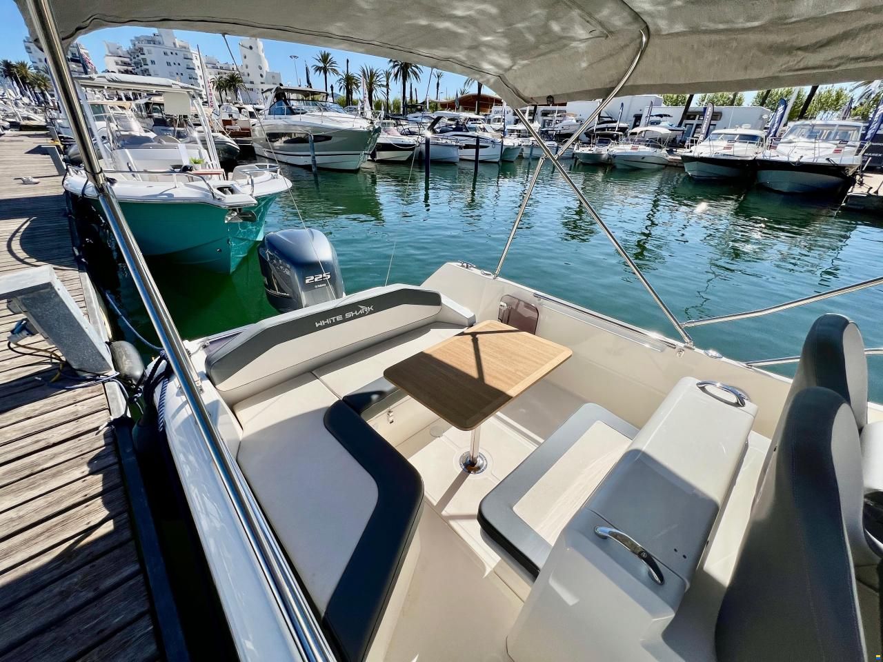 White Shark 240 Sport Cabin