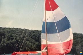 Anne Wever Trintella 1a
