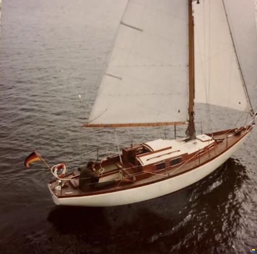 Anne Wever Trintella 1a