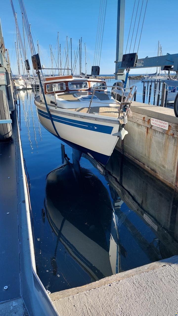 Sirius 31 DS (MS)