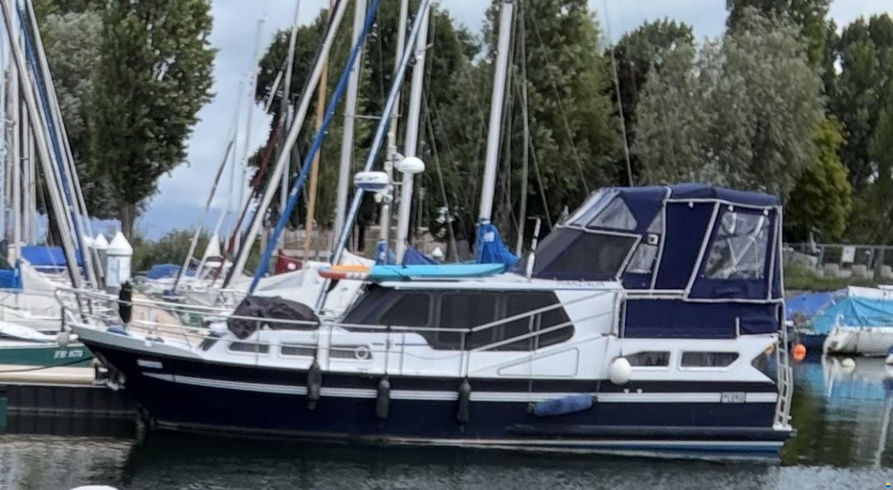 Pedro 37