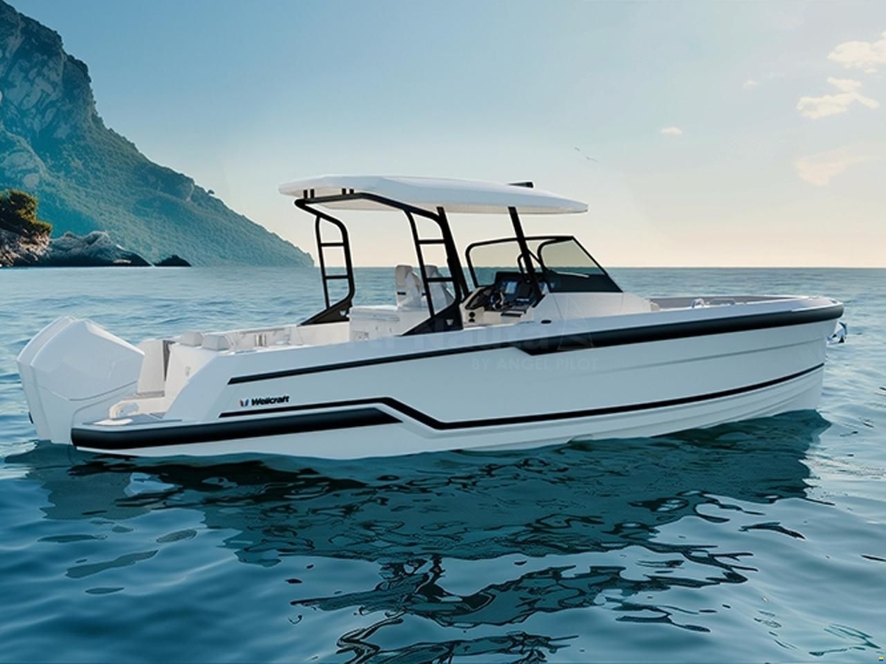 Wellcraft 28 T-Top