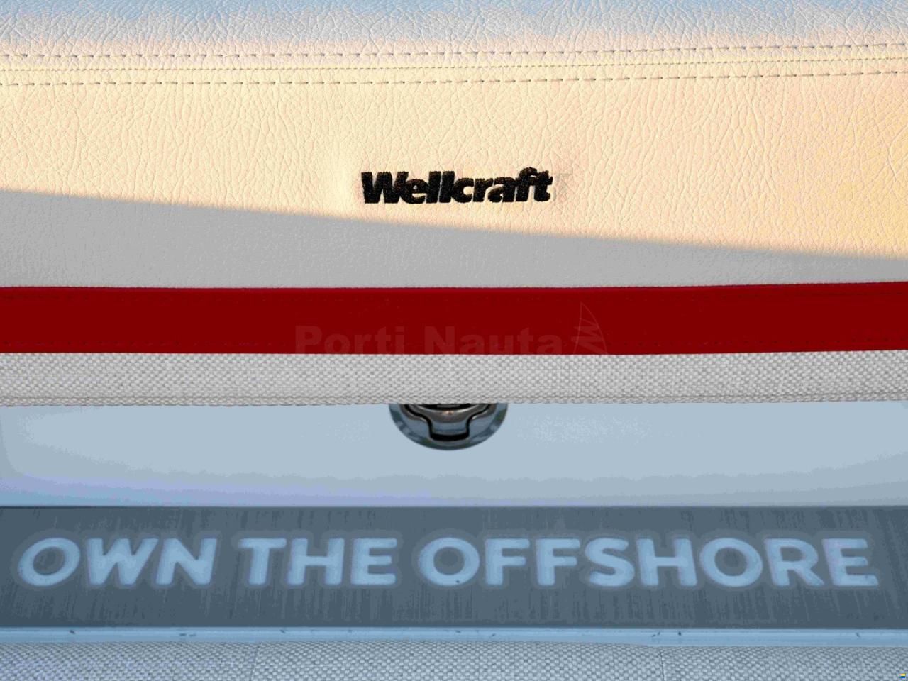 Wellcraft 28 T-Top