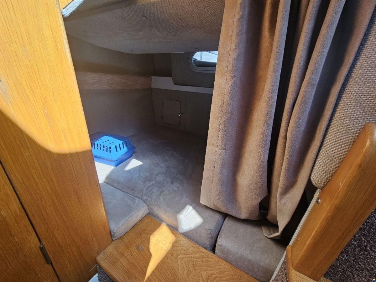 Sealine 220 Senator