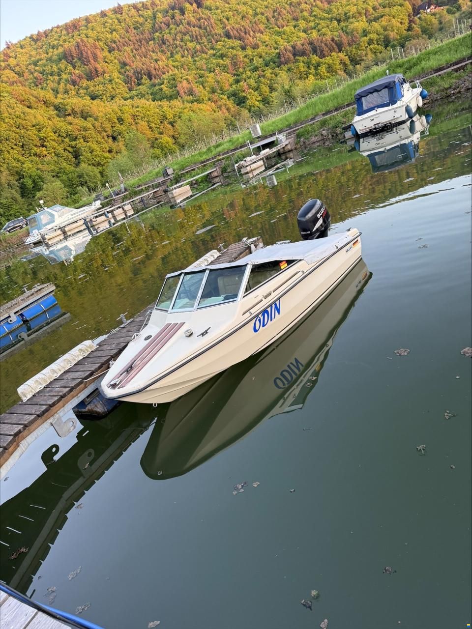 Hellwig Triton