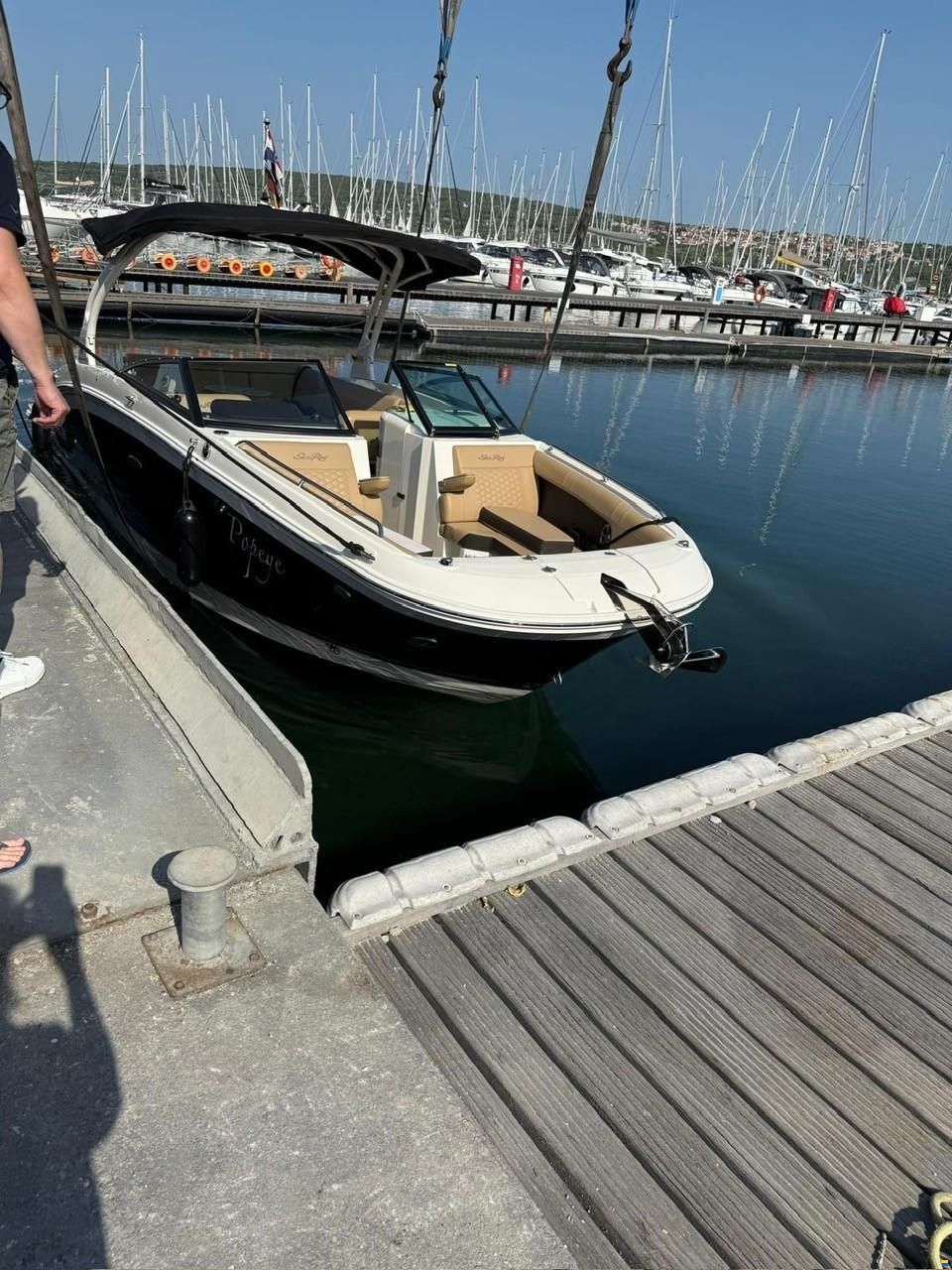 Sea Ray 270 SDX