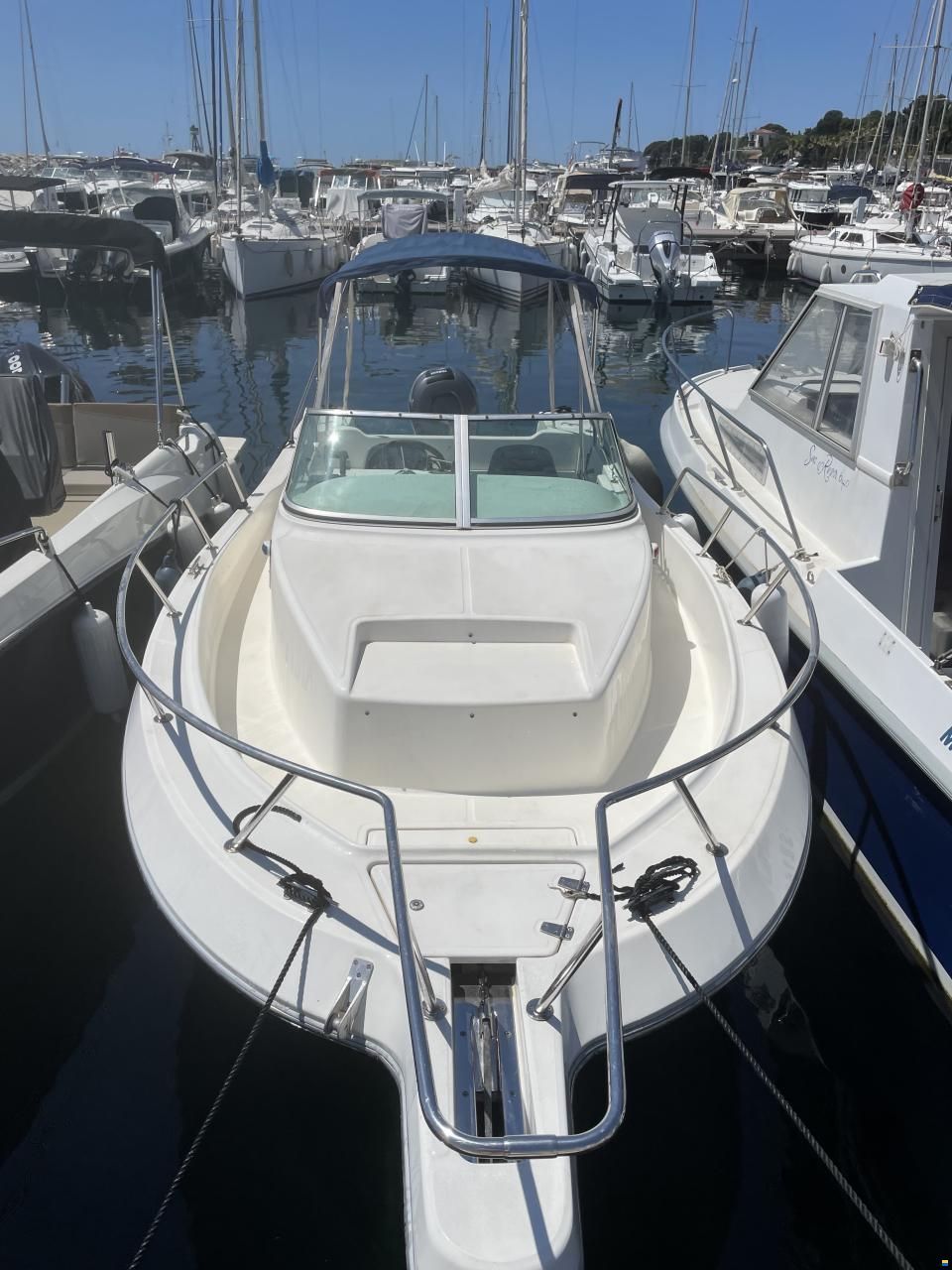 Kelt White Shark 236