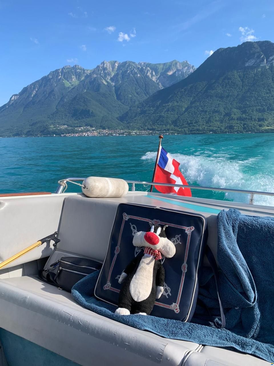 Schweizer A VENDRE – Schweizer Saphir 560 Colombia
