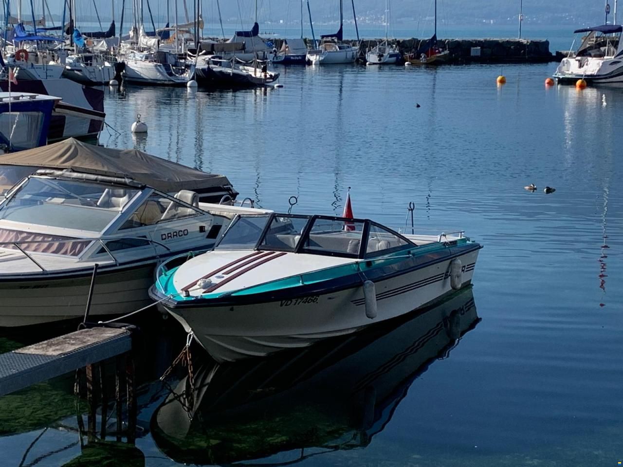 Schweizer A VENDRE – Schweizer Saphir 560 Colombia