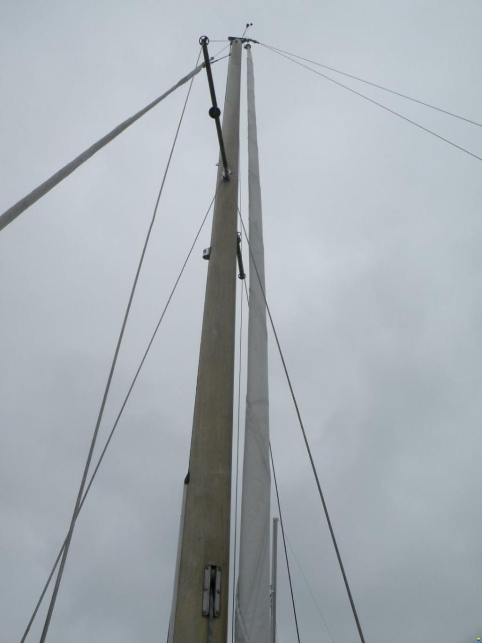 30
