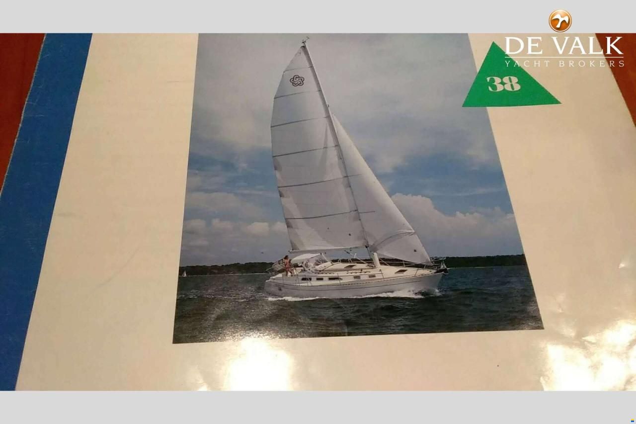 Freedom 38