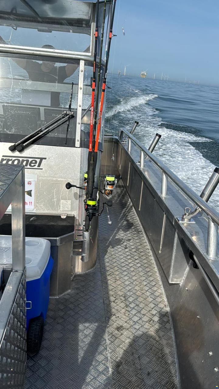 Arronet 24,5 SXP