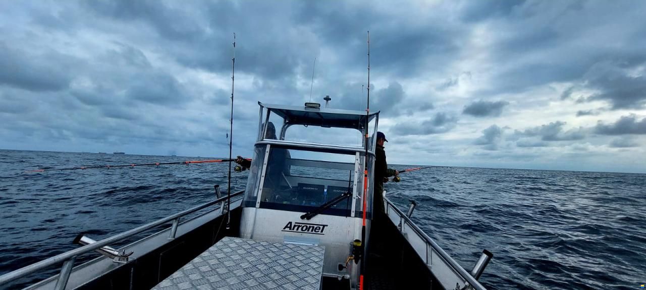 Arronet 24,5 SXP