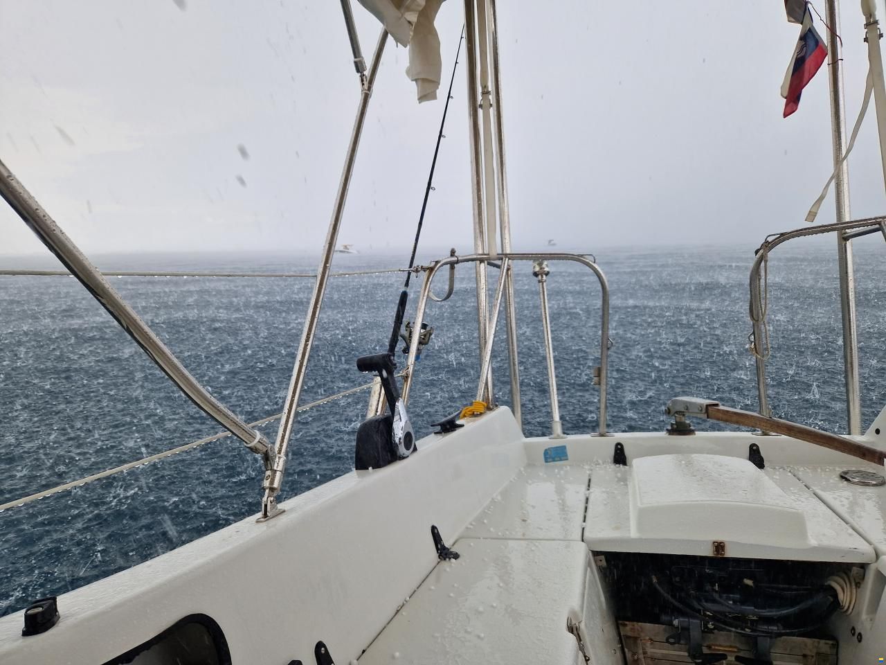 Neptun 22