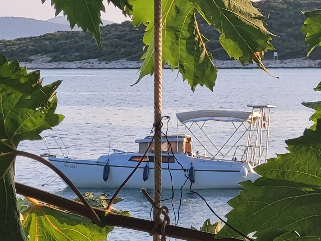 Neptun 22