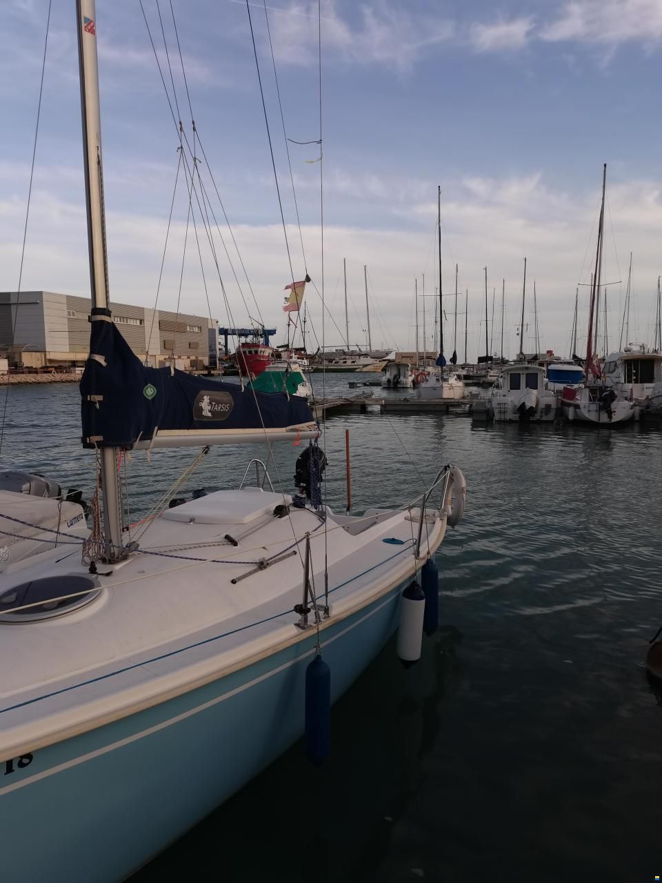Tarsis 20