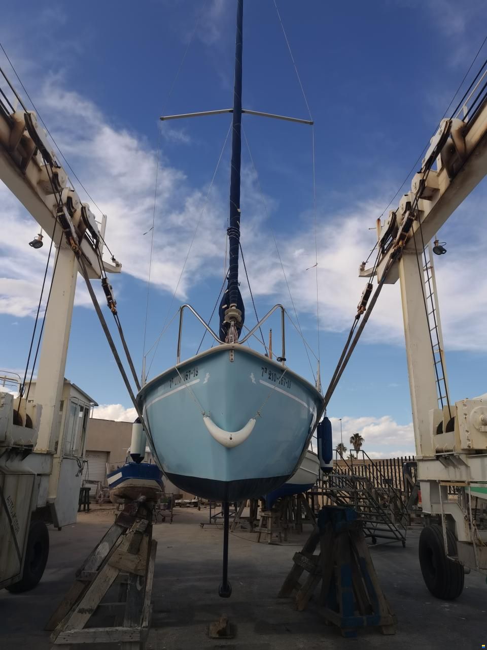 Tarsis 20