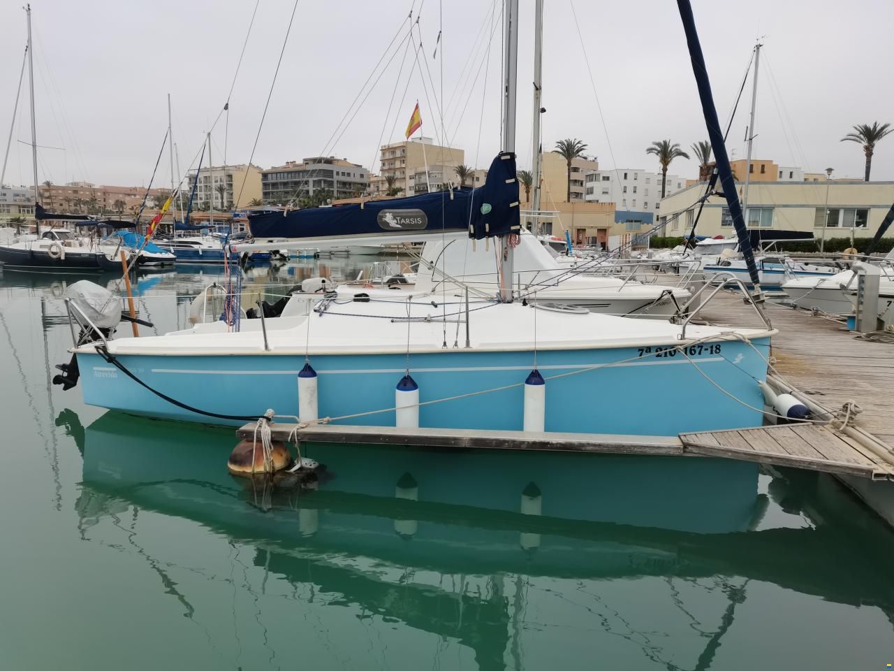 Tarsis 20