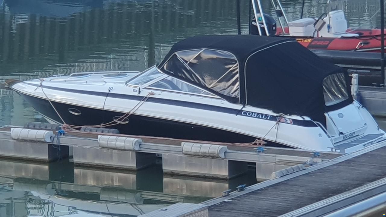 Cobalt 293