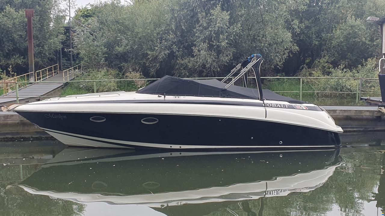 Cobalt 293