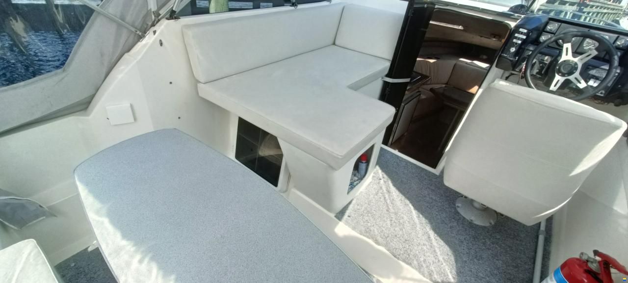 Bayliner SunBird 2255