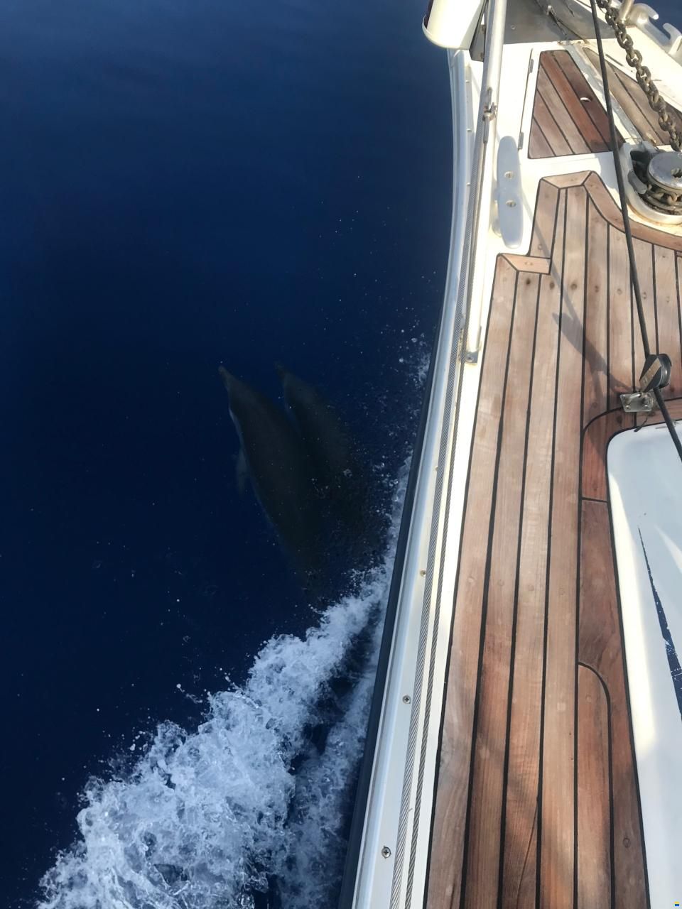 Ocean Star 51.2