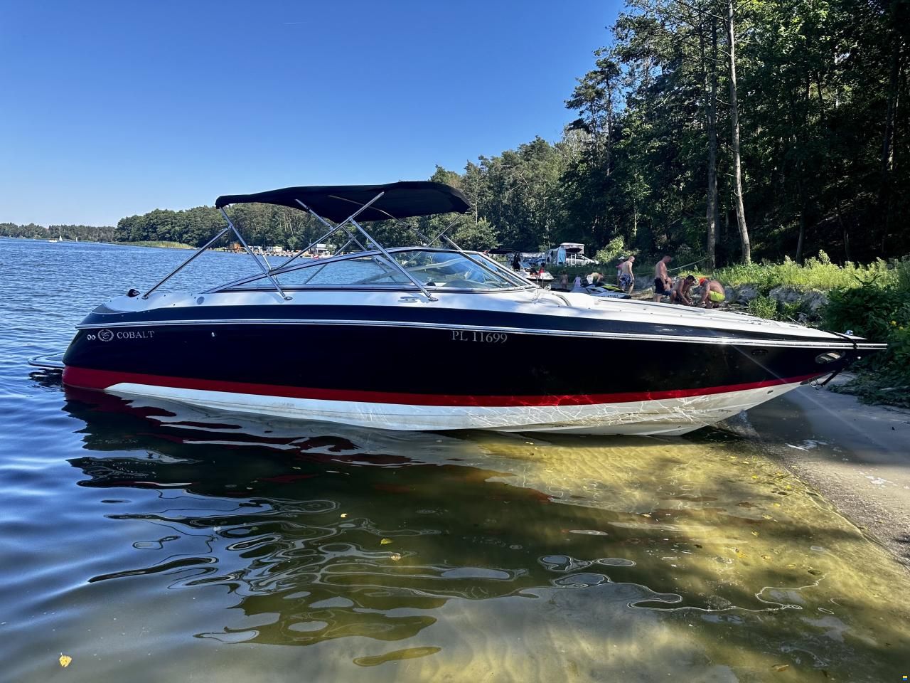 Cobalt 240