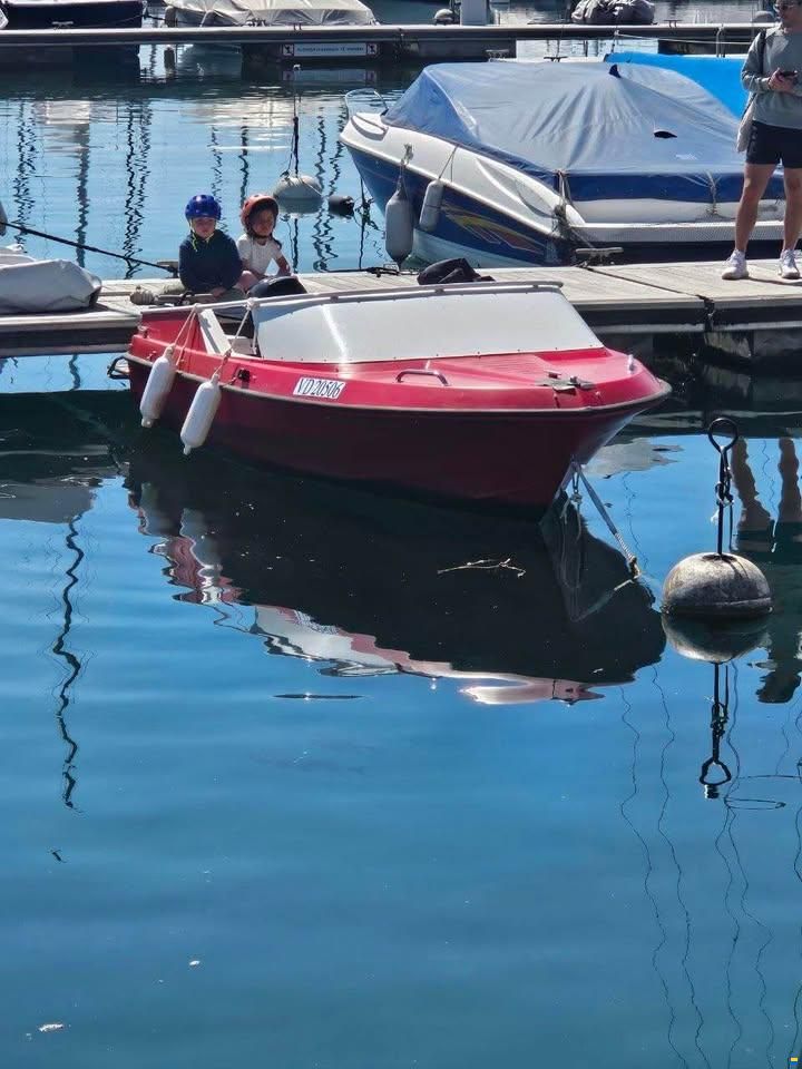 Ocqueteau Boxer 44