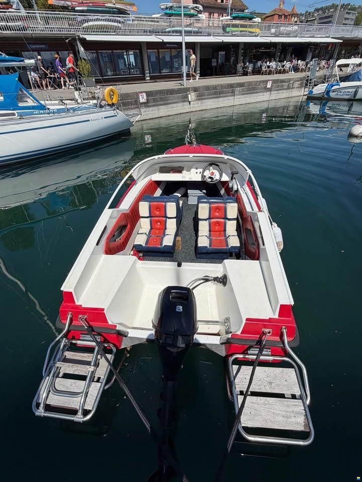 Ocqueteau Boxer 44