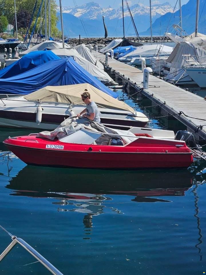 Ocqueteau Boxer 44