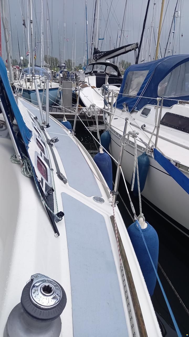 Dehler 29