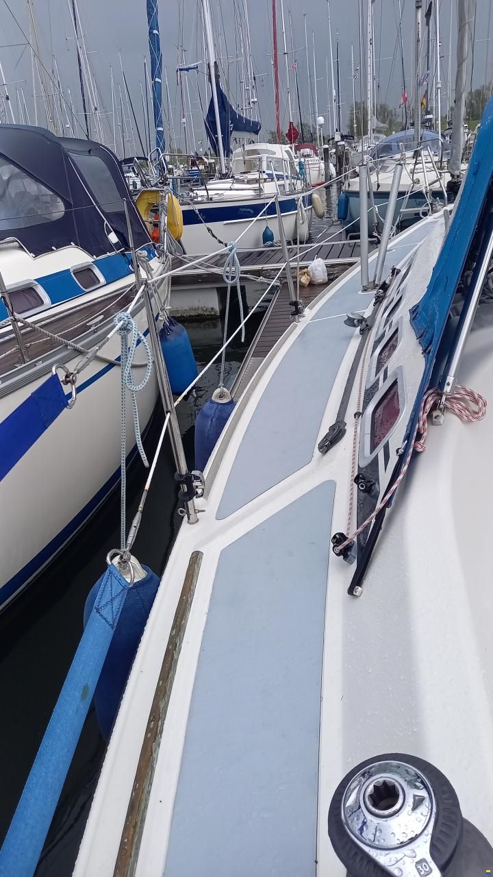 Dehler 29