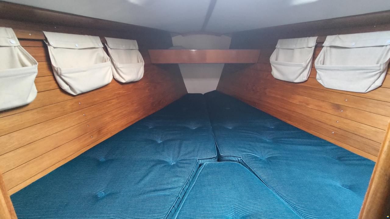 Aphrodite 29