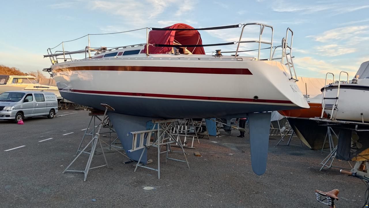 Aphrodite 29