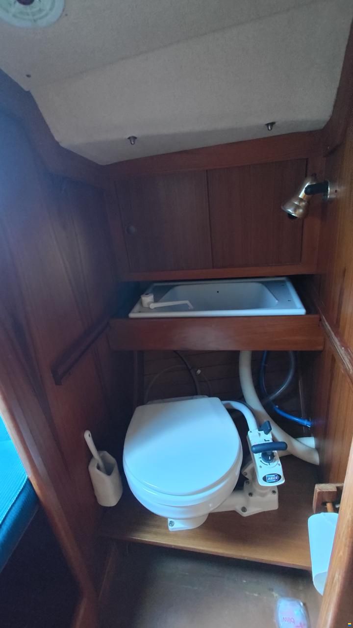 Aphrodite 29