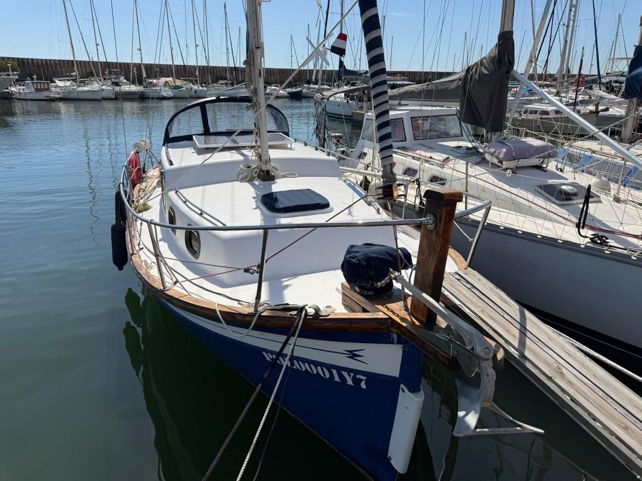 Delf&iacute;n 28
