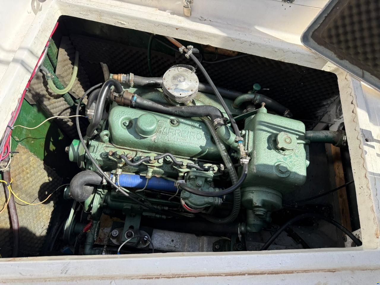 Delf&iacute;n 28