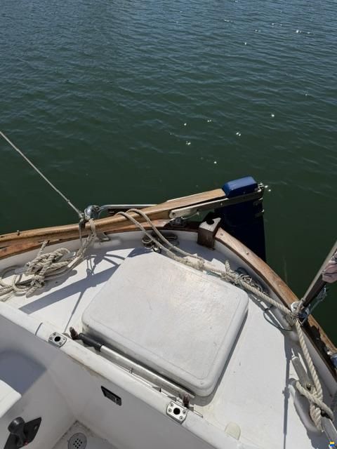 Delfín 28