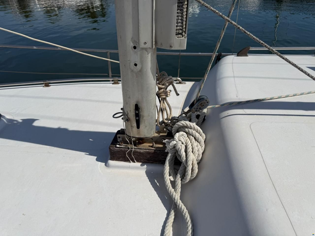 Delf&iacute;n 28