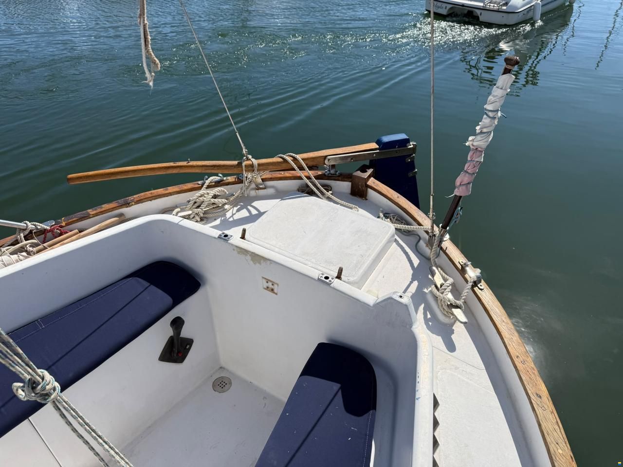 Delf&iacute;n 28