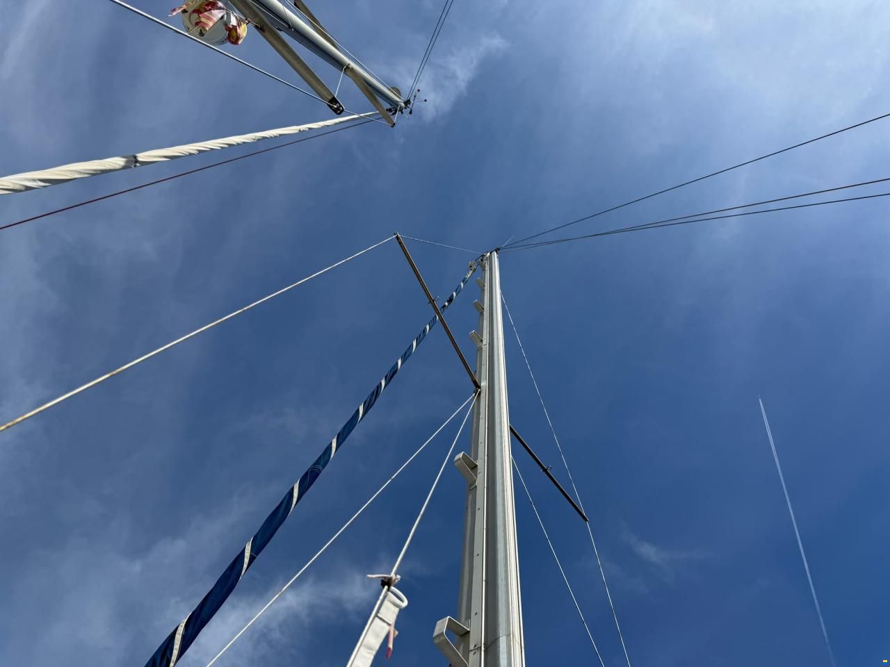 Delf&iacute;n 28