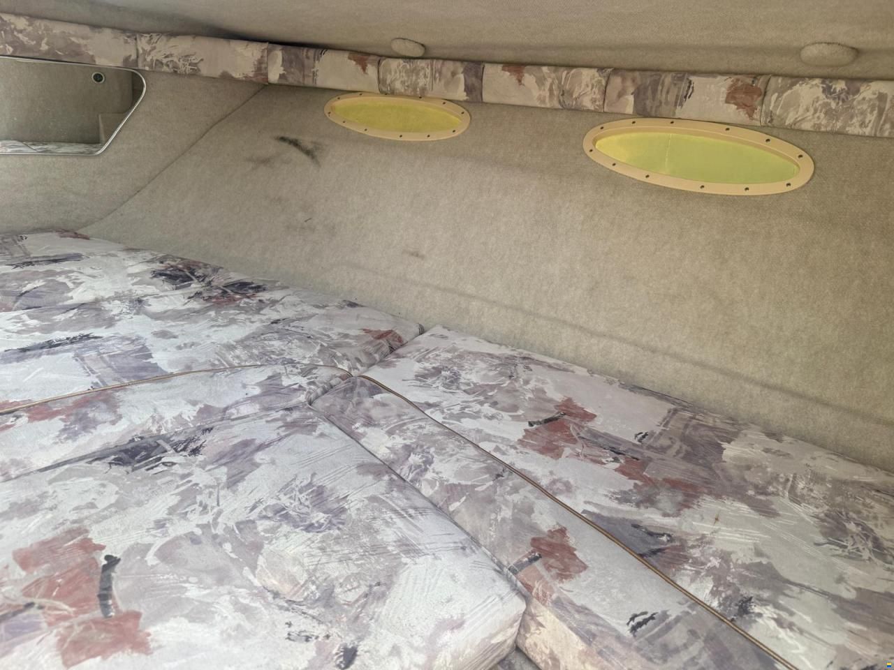 Sea Ray 230