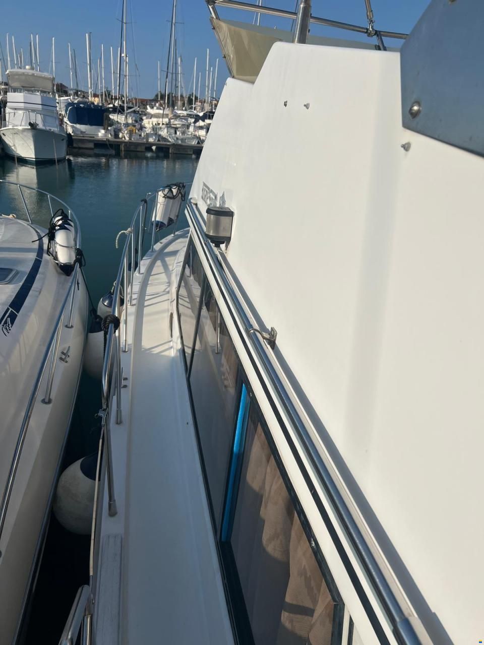 Edership 37