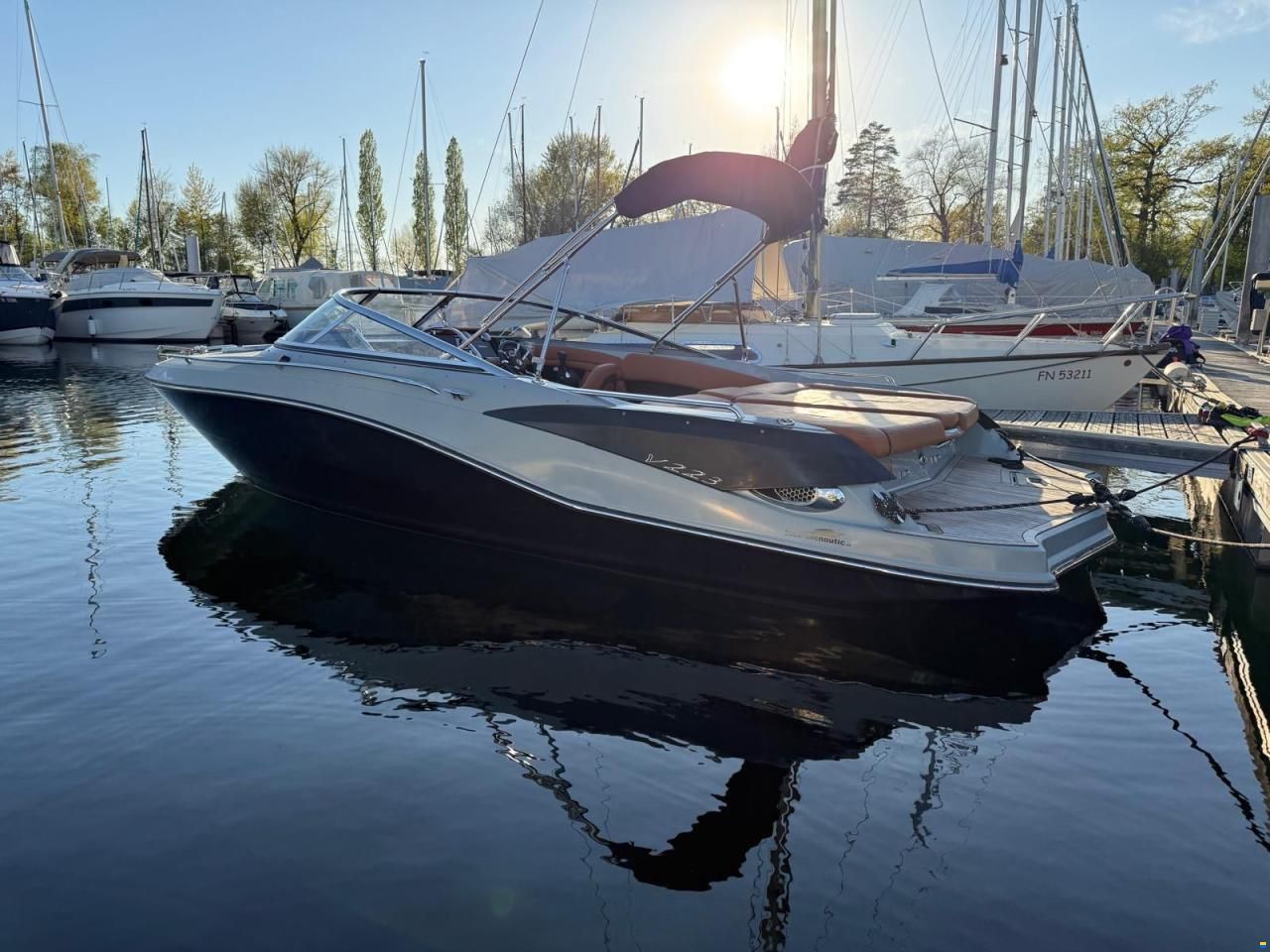 Viper 223 Toxxic