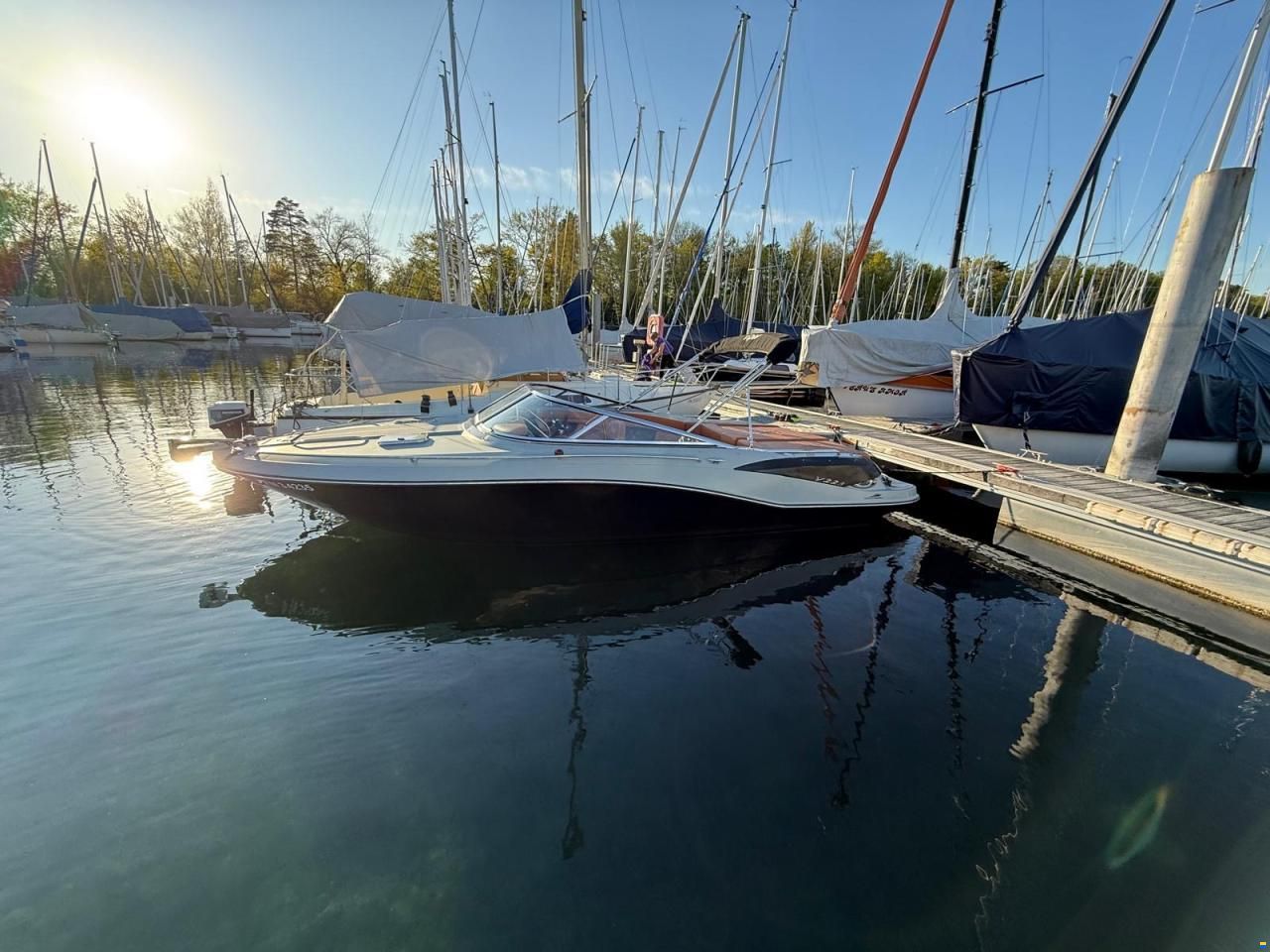 Viper 223 Toxxic